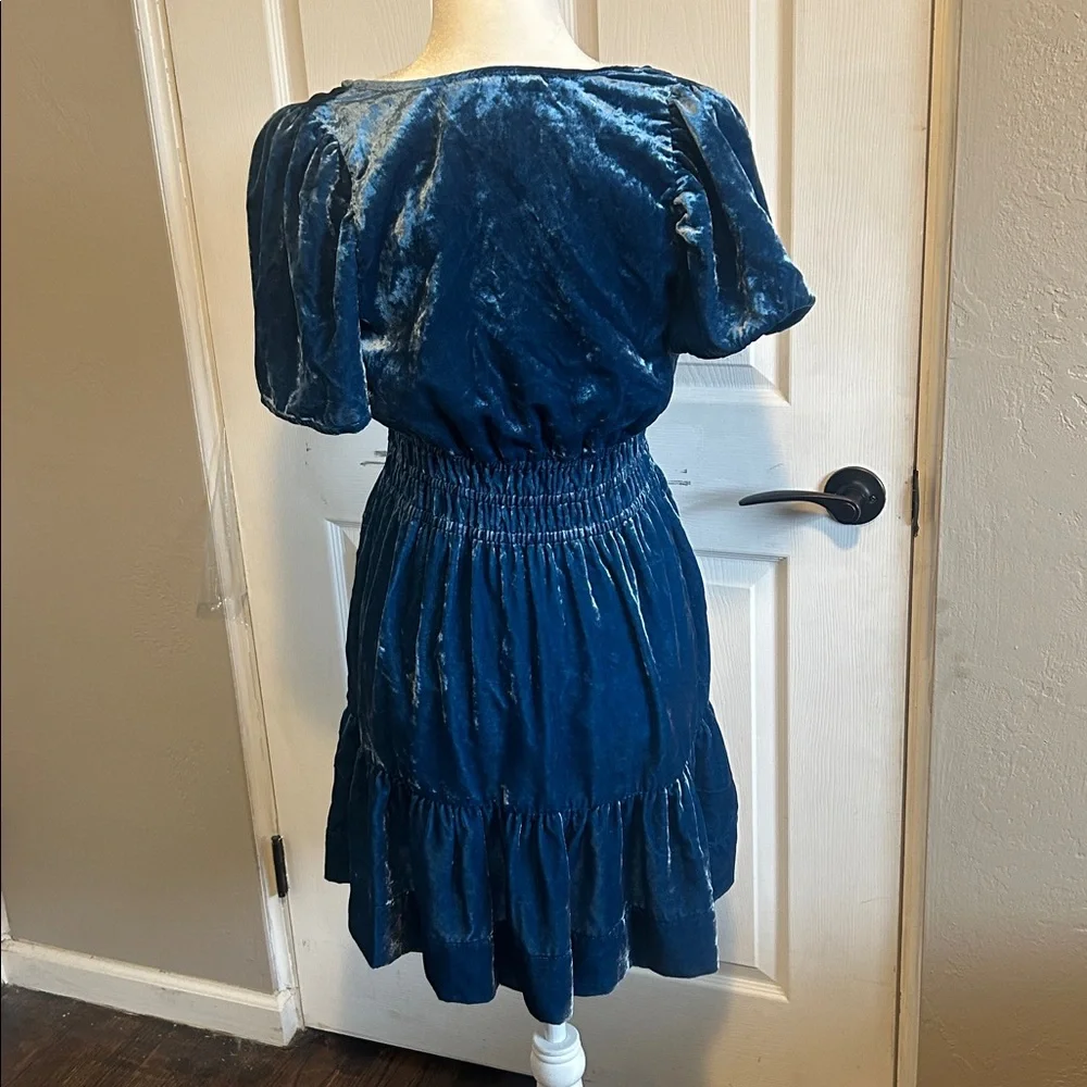 Anthropologie The Somerset Mini Floral Fuchsia and Black Velvet Dress - Picture 6 of 7